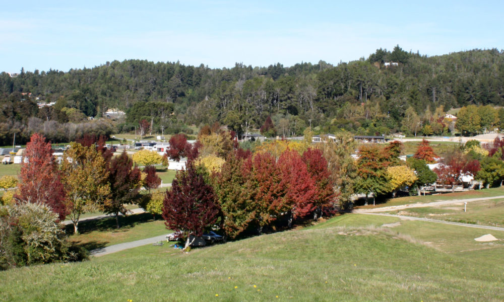 NZMCA Bethany Park